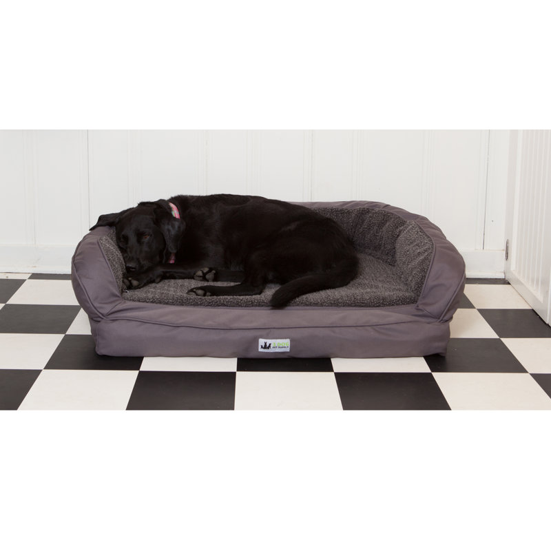absolute dog bed