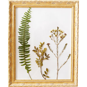 8x10 Wall Frames 8" x 10" picture frames 8x10 Wall Frames 8" x 10" picture frames