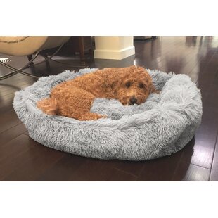 best dog bed for toy poodle