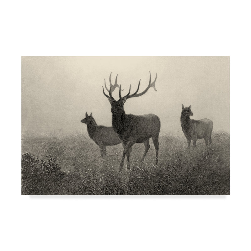 Millwood Pines American Elk Acrylic Painting Print On Wrapped