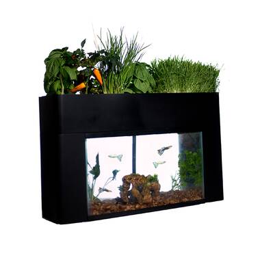 wayfair aquarium coffee table