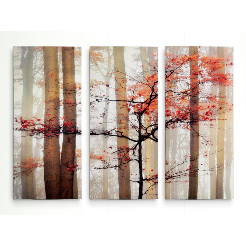 Hanging Decorations Orange Coffee Kitchen Picture Canvas Wall Art Triple Print Home Furniture Diy Hashtagcoffee Com Au