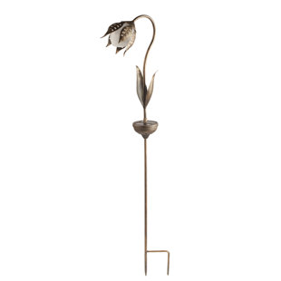Best Tulip Solar 1-Light Pathway Light By Winsome House Outdoor Lighting Tulip Solar 1-Light Pathway Light By Winsome House Outdoor Lighting