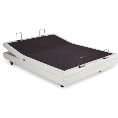 Rize Wayfair
