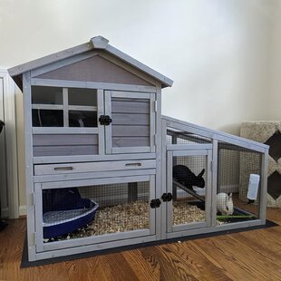 Rabbit condo cage Indoor BIG BUNNY & CAT deluxe hutch pet pen w/ carpeted floors 