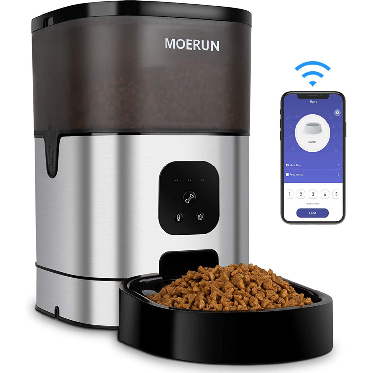 dual automatic cat feeder