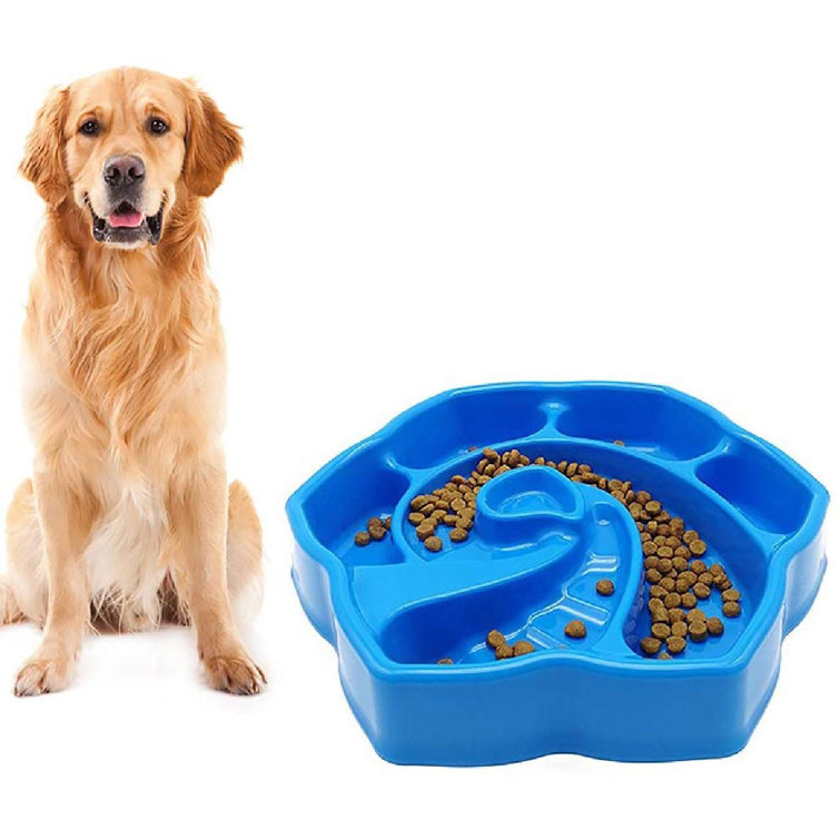 small dog slow feeder