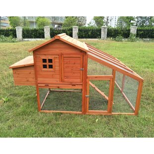 Chicken Coop Run Wayfair