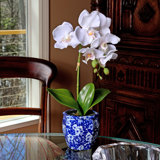 Orchid Floral Arrangements Centerpieces Joss Main