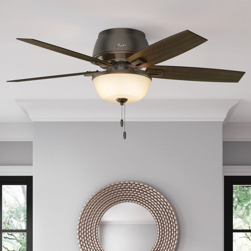 Hunter Fan 52 Donegan 5 Blade Ceiling Fan Light Kit Included