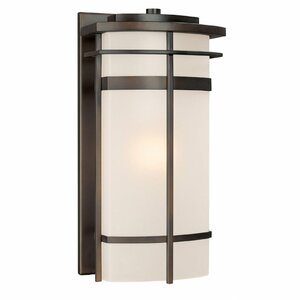 Akilah 1-Light Outdoor Sconce in Bronze