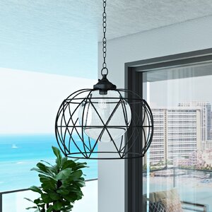 Doane 1-Light Outdoor Pendant