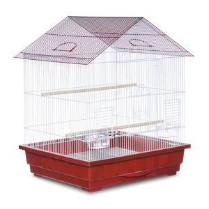 Offset Roof Cockatiel  Bird Cage