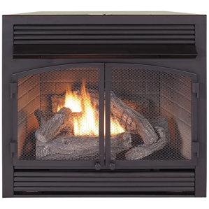 Dual Fuel Ventless Natural Gas/Propane Fireplace Insert by Duluth Forge