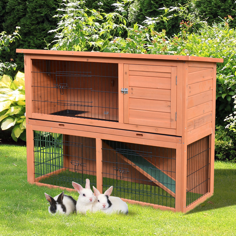 outdoor rabbits