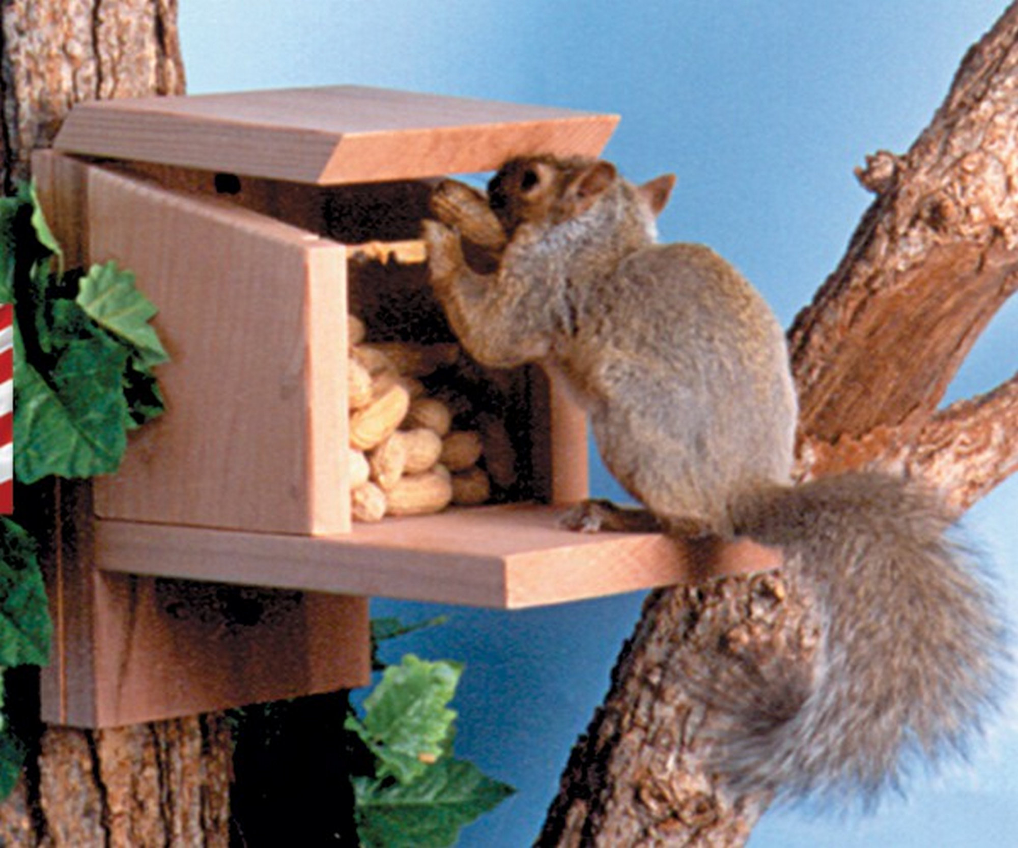 Songbird Essentials Munch Box Squirrel Feeder Reviews Wayfair