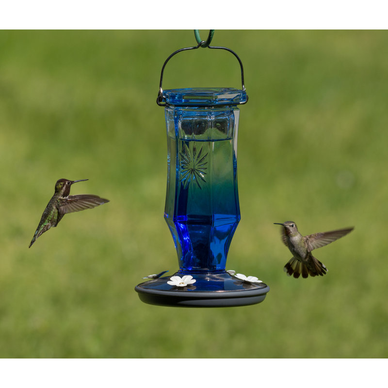 Perky Pet Sapphire Starburst Vintage Hummingbird Feeder Reviews