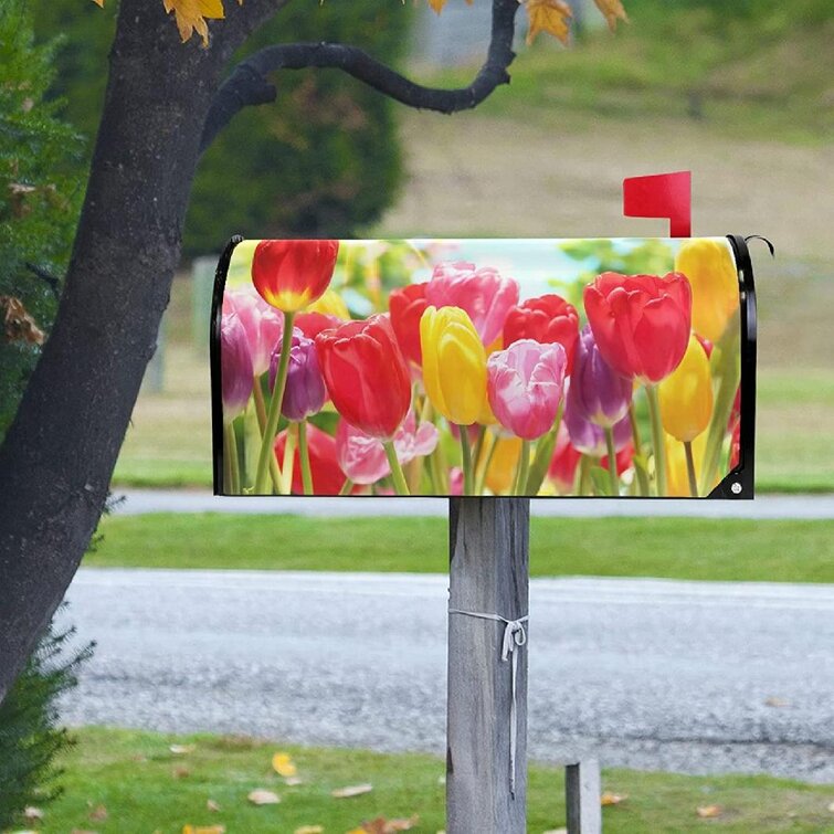 Mailbox Magnet Partial Cover Door Tulips Set of 3 Blk Mail Box Personalized  Car 