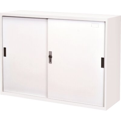 346 Steel Doors With Lock Storage Cabinet Symple Stuff