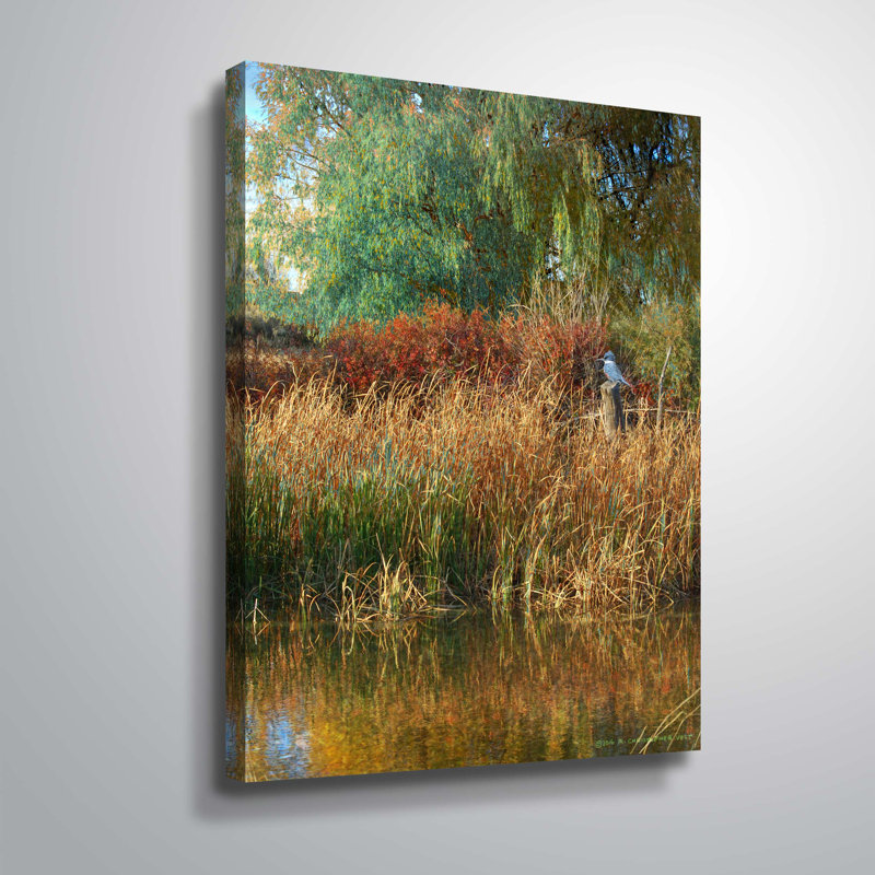 Breakwater Bay Weeping Willow Kingfisher Graphic Art Print On