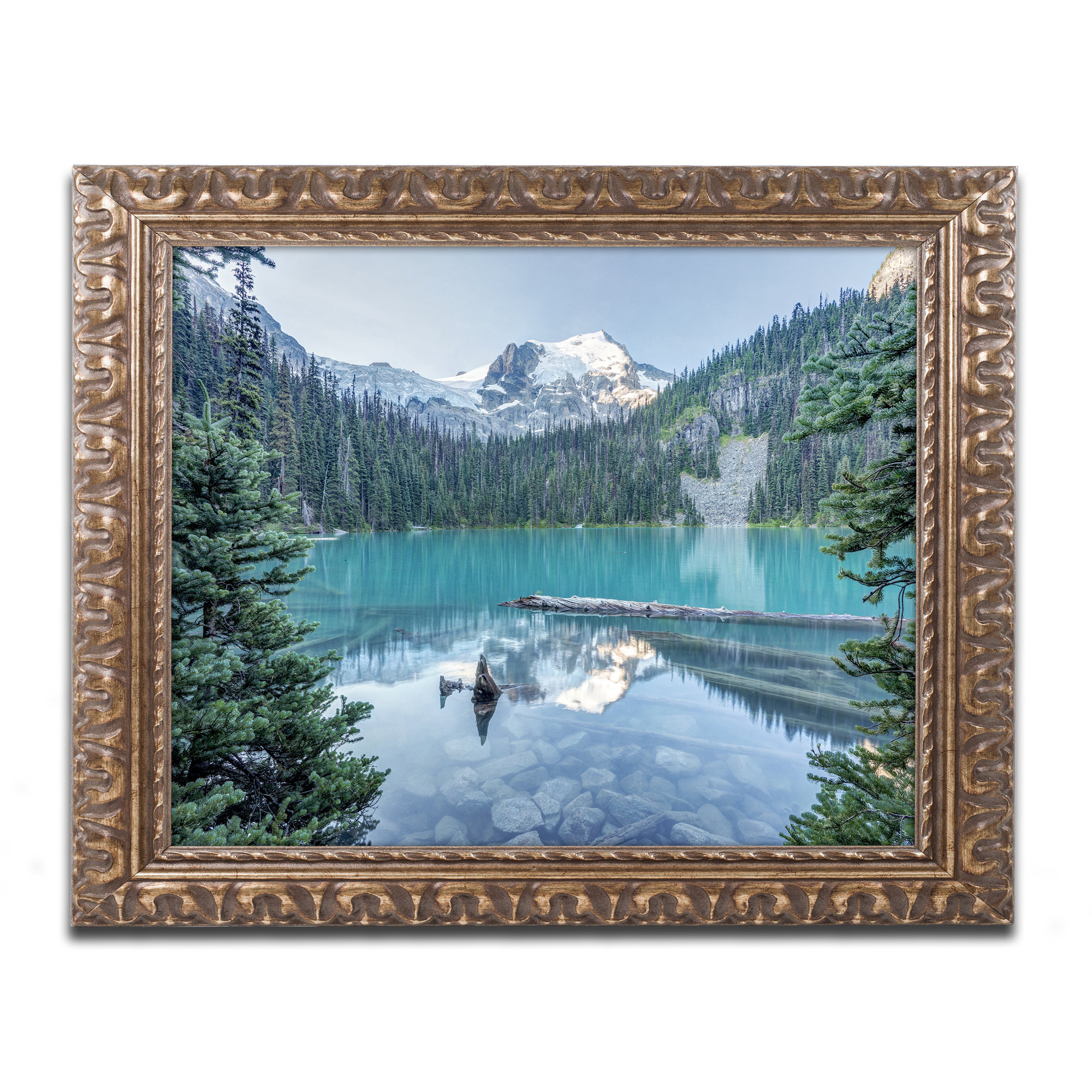 Trademark Art Natural Beautiful British Columbia By Pierre Leclerc Framed Photographic Print Wayfair