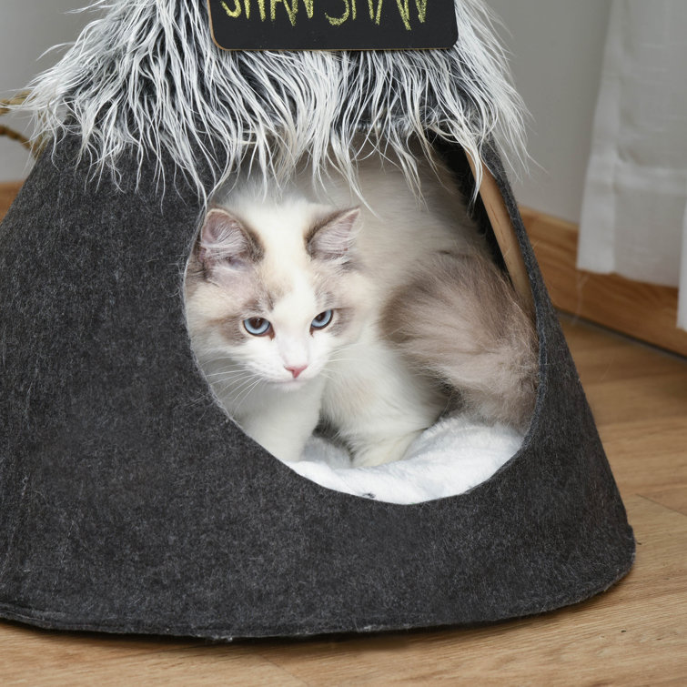 novelty cat bed