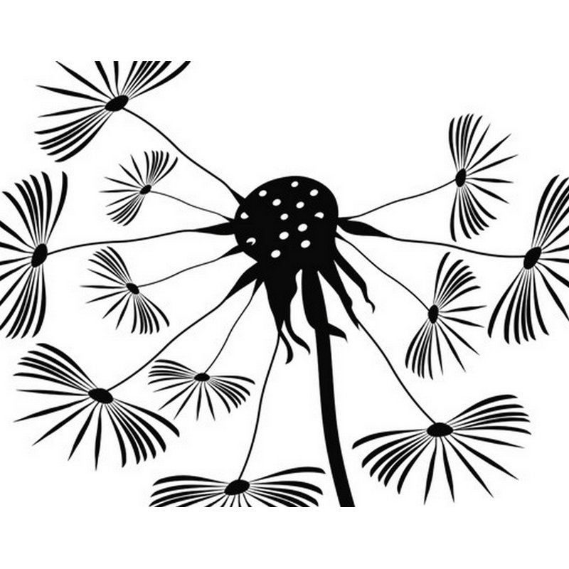 Best Of Wandtattoo Pusteblume Gold East Urban Home Wandtattoo Pusteblume Pusteblume Gold