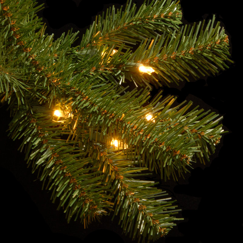Beachcrest Home Norwood Fir Green Spruce Artificial Christmas Tree