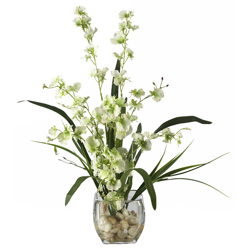 Liquid Illusion Dancing Lady Silk Orchids Floral Arrangements In Vase Reviews Allmodern