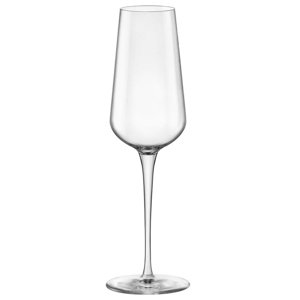 InAlto Uno 9.5 Oz. Champagne Flute (Set of 6)
