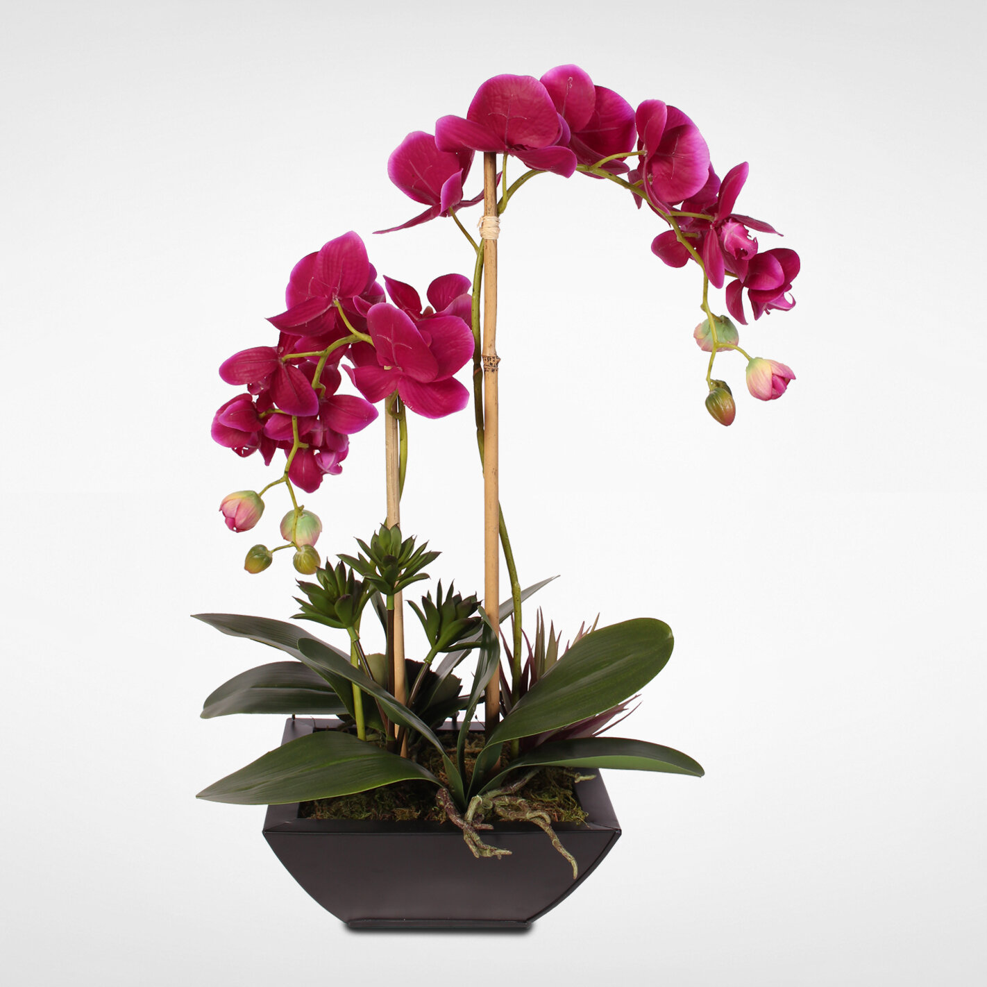 Handmade Phalaenopsis Orchid and Artificial Succulents Floral Arrangement in Pot 