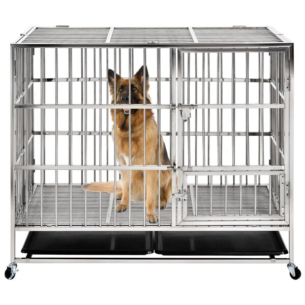 metal dog cage