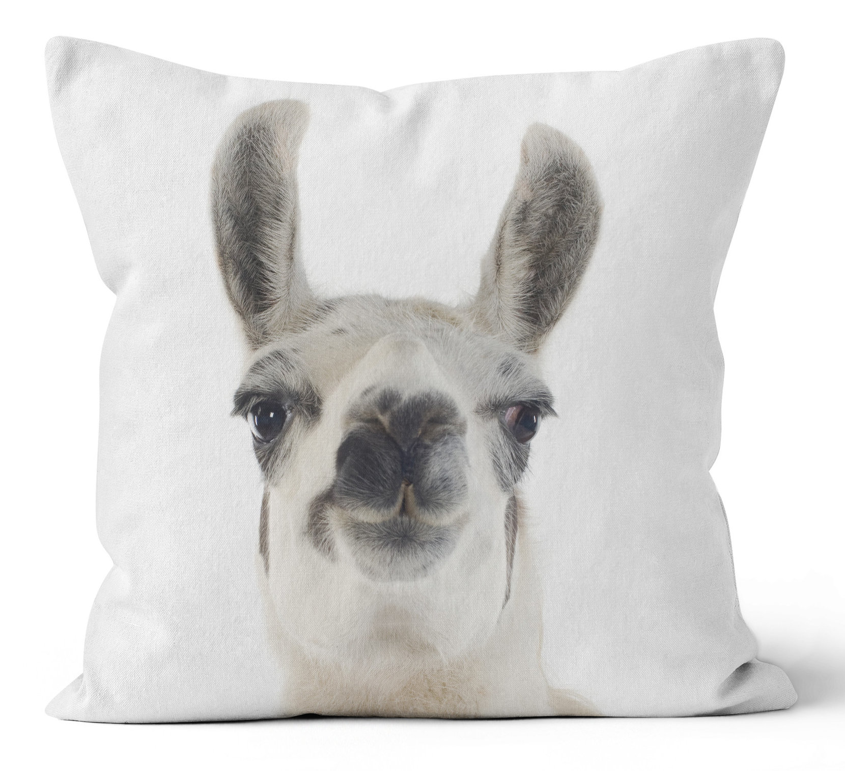 llama throw pillows