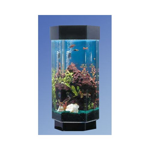 Best 15 Gallon Fish Tank for sale in The Best 15 Gallon Fish Tanks for 20.....