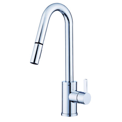 Amalfi Pull Down Single Handle Kitchen Faucet Danze