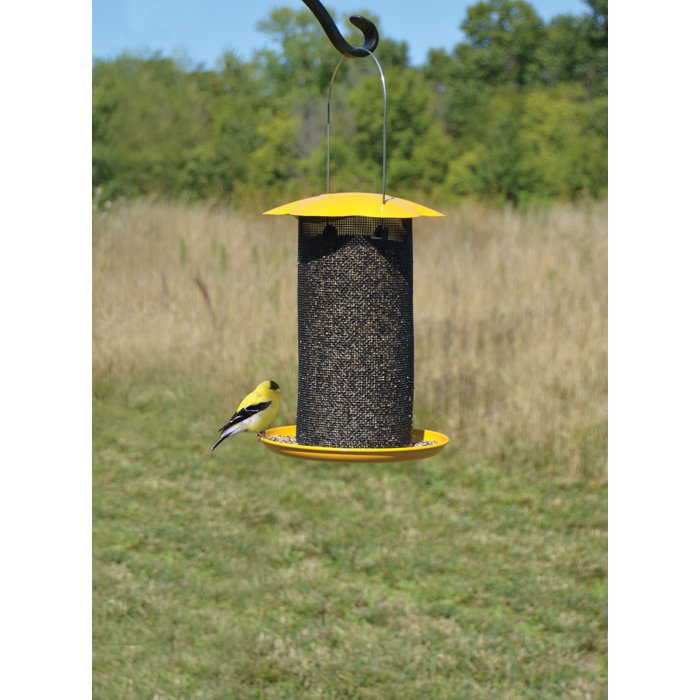 Songbird Essentials Mammoth Thistle Feeder Wayfair
