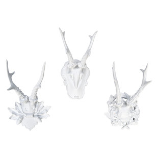 White Antler Wall Decor Wayfair Ca