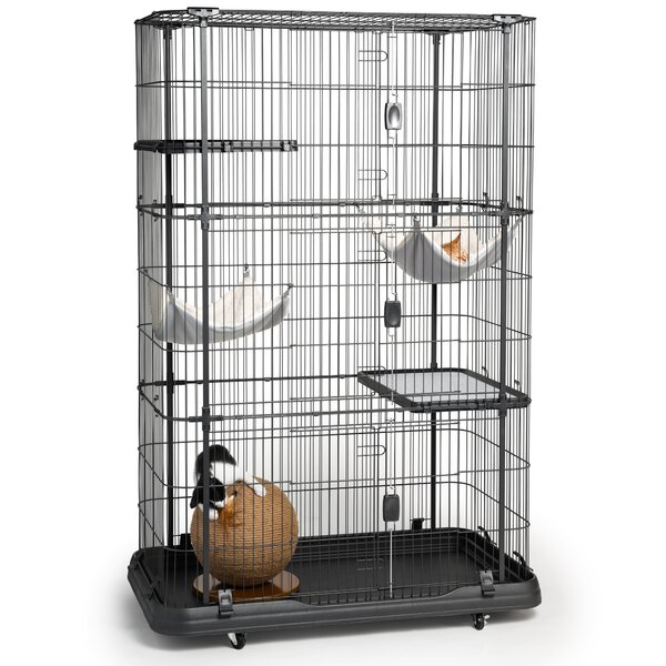 Archie Oscar Cage Pour Chat Avec Hamacs Elmo Et Commentaires Wayfair Ca