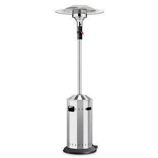 Rodrigue Propane Patio Heater By Sol 72 Outdoor
