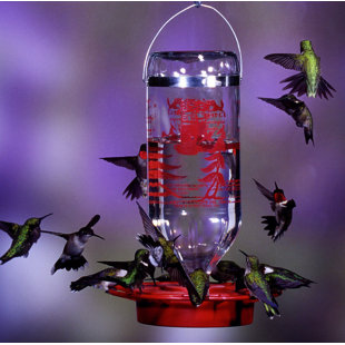 Rcs Gifts Hour Glass Hummingbird Feeder Wayfair