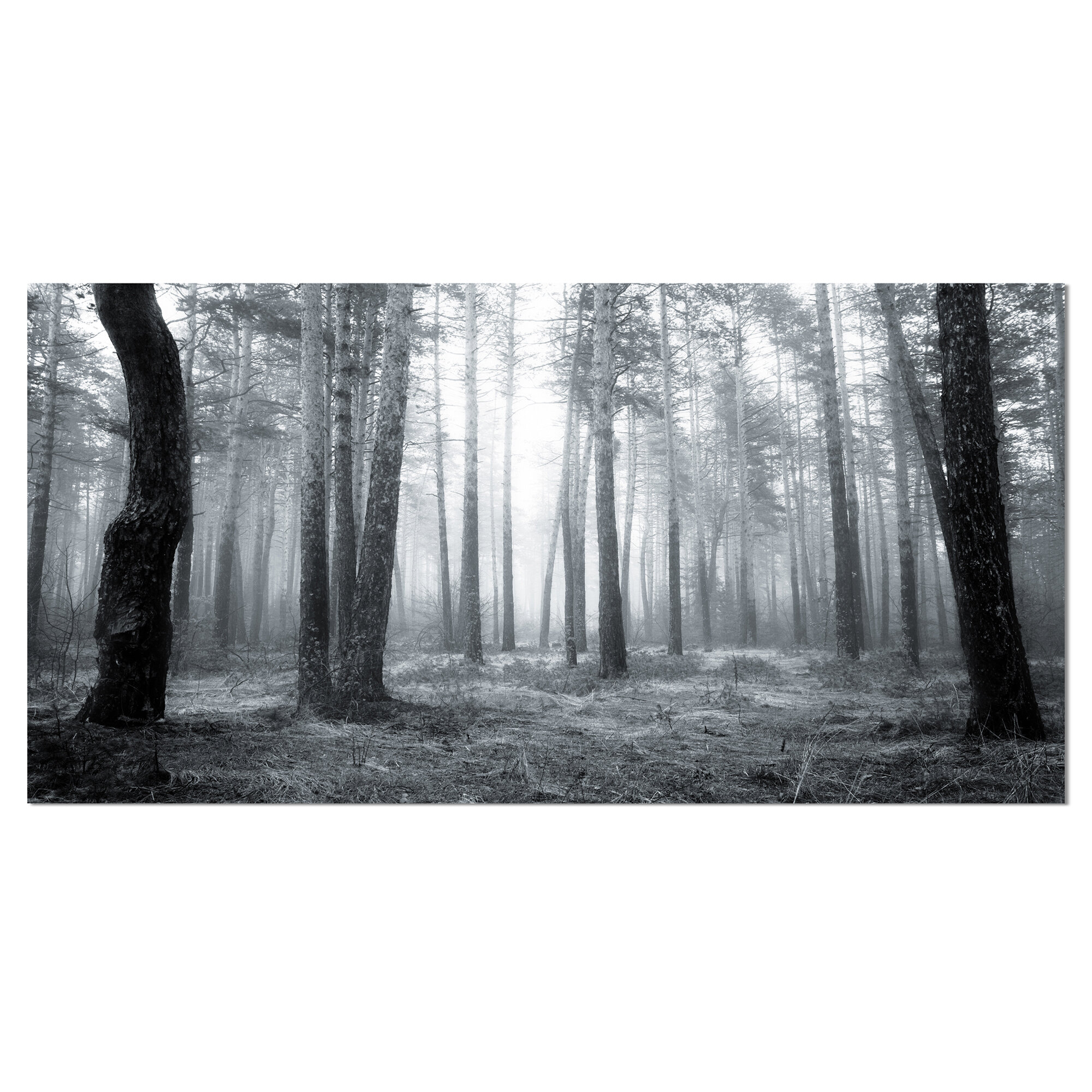 Framed Print Picture Poster Trees Water Art Black and White Misty Forest