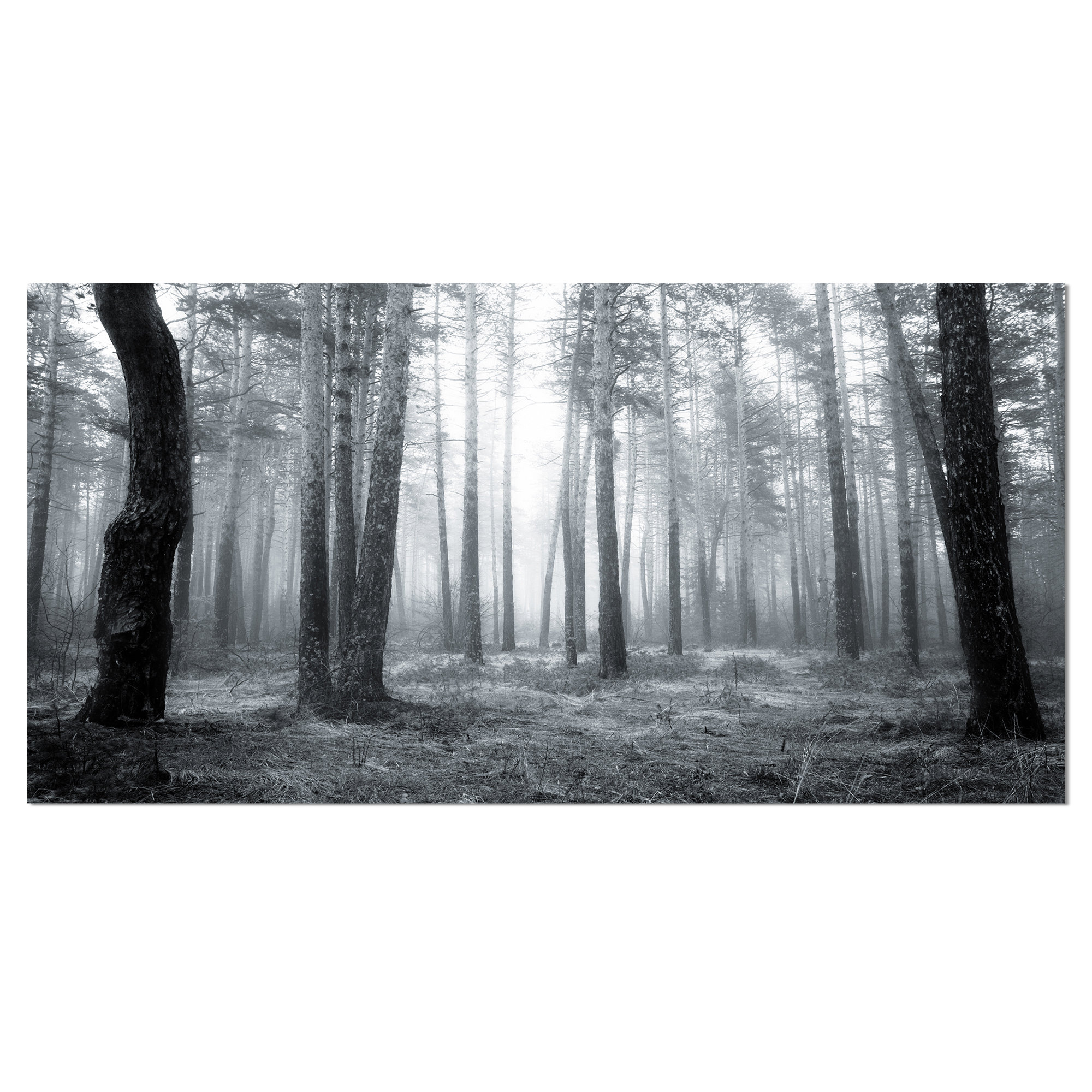 black and white 1 dimensional pictures black and white 1 dimensional pictures