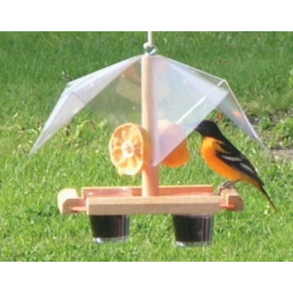 Oriole Feeders Wayfair