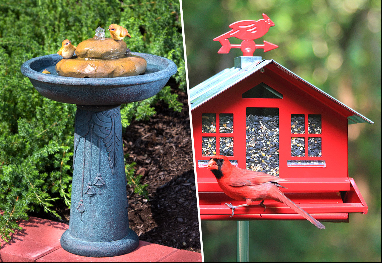 [BIG SALE] Chirp Shop Bird Baths & Houses You’ll Love In 2022 Wayfair