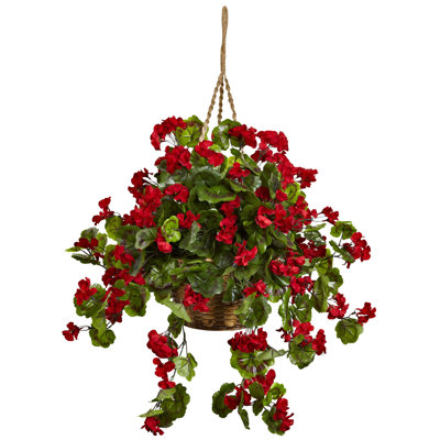 Alcott Hill Geranium Hanging Plant in Basket