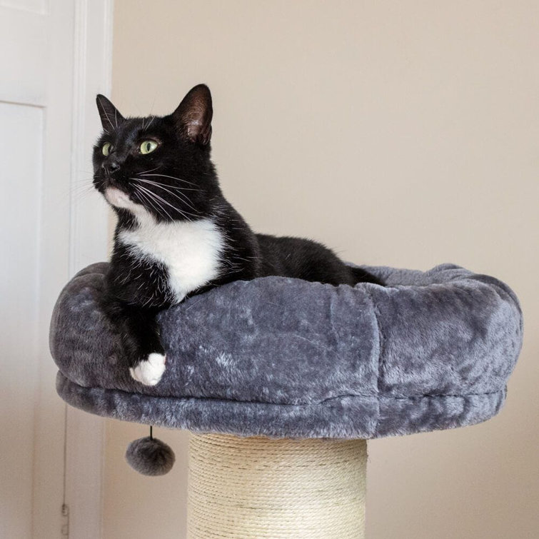 jumbo cat scratching post