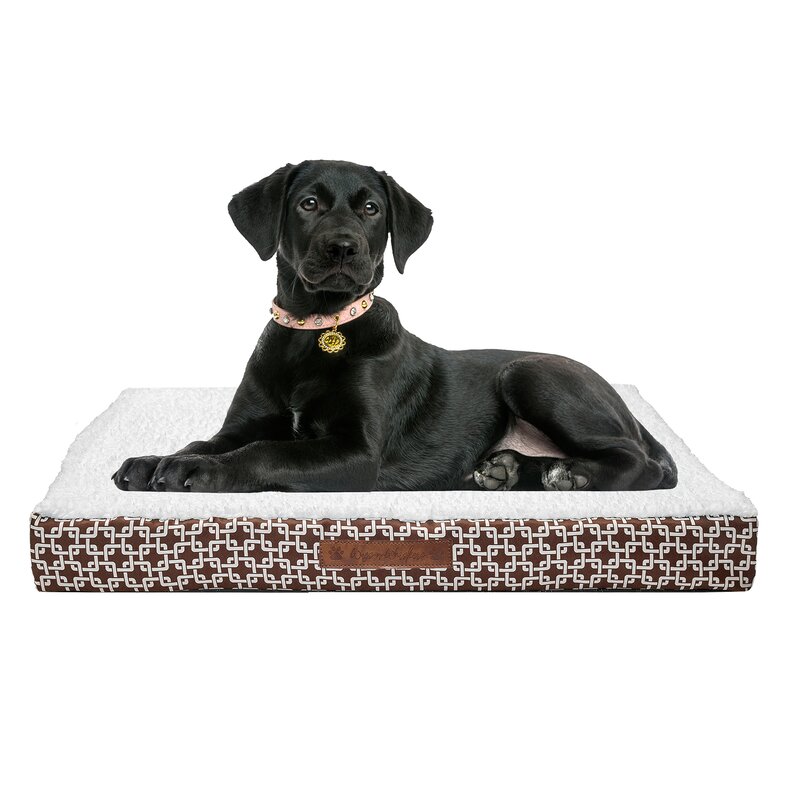 Amazon Com Guardian Gear Elevated Dog Cot X Large Pet Beds Pet Supplies