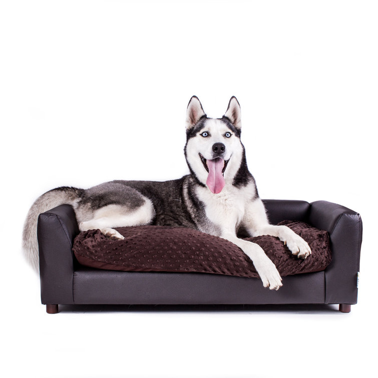 dofferville dog bed