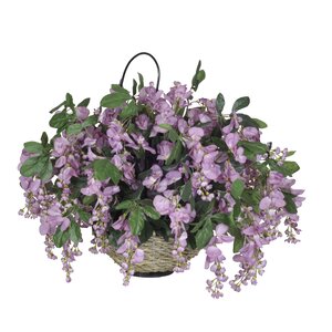 Wisteria Hanging Plant in Basket