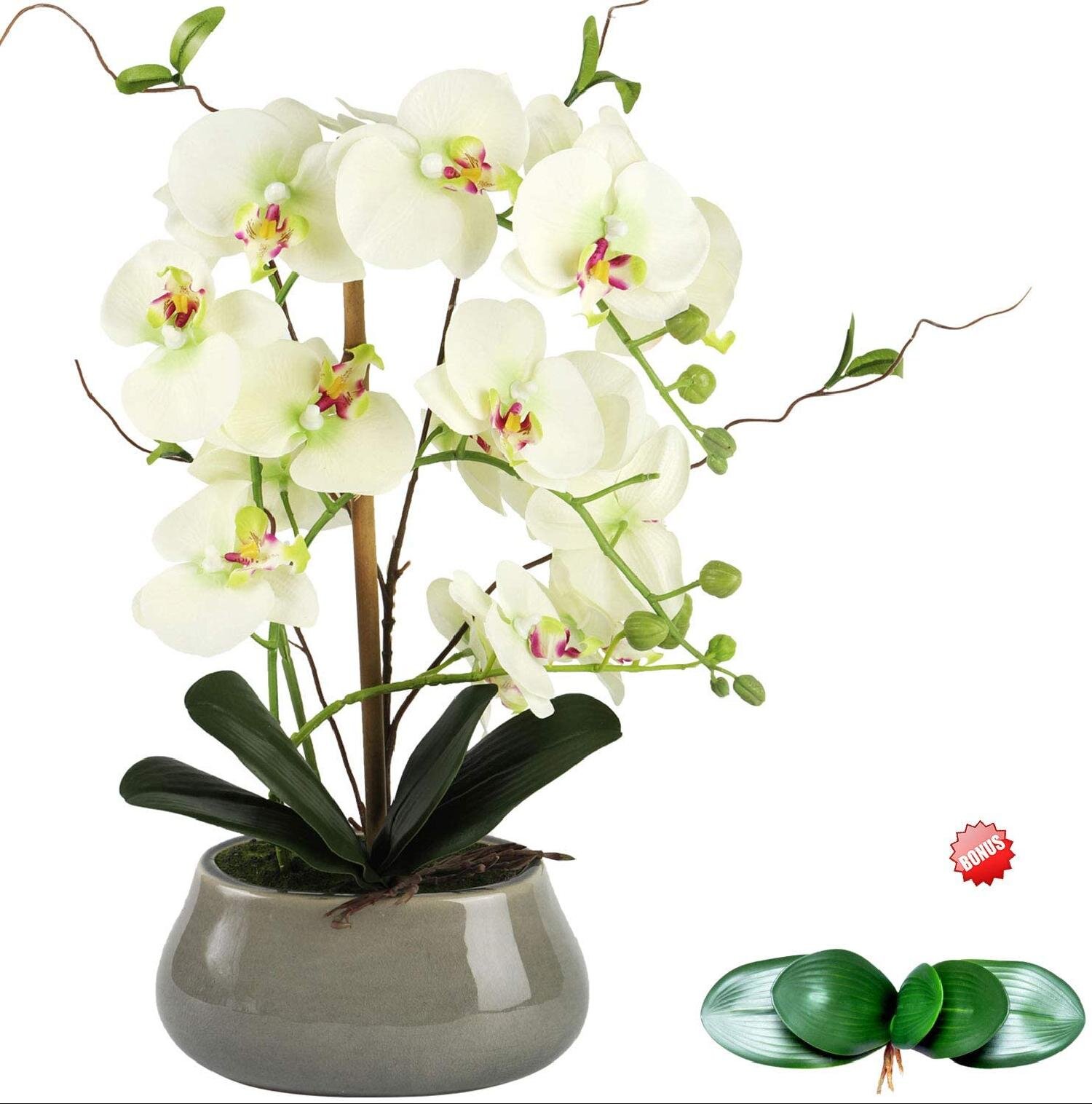 White, Large Artificial Silk Moth Orchid Flowers in Transparent Glass Vase Coffee Table Arrangement Centerpiece Decor Real Touch Natural Looking Phalaenopsis Flowers and Greens 